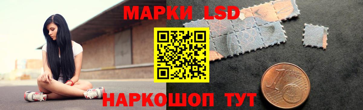 Лсд 25 Донецк