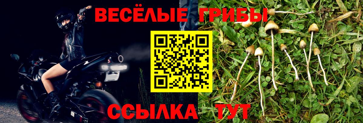 Донецк  Галлюциногенные грибы мухоморы  Галлюциногенные грибы Psilocybe  Вход с VPN 
